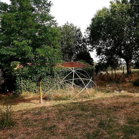 Da Pino Konuk evi Montemerano Dış mekan fotoğraf