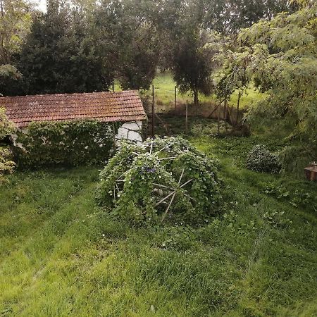 Da Pino Konuk evi Montemerano Dış mekan fotoğraf
