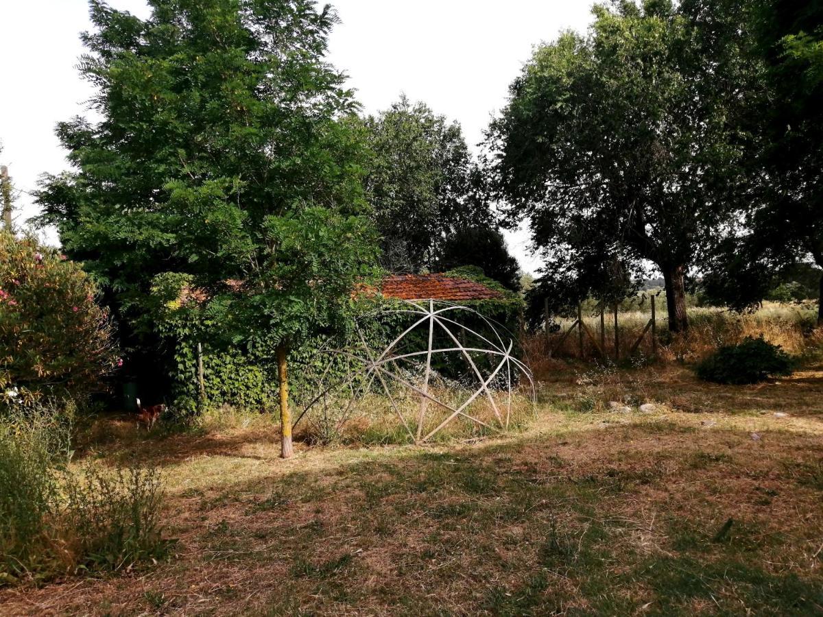 Da Pino Konuk evi Montemerano Dış mekan fotoğraf