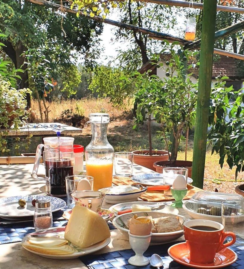 Da Pino Konuk evi Montemerano Dış mekan fotoğraf