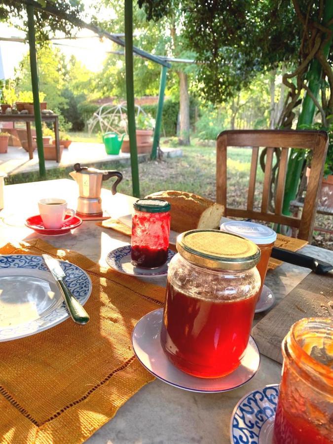Da Pino Konuk evi Montemerano Dış mekan fotoğraf