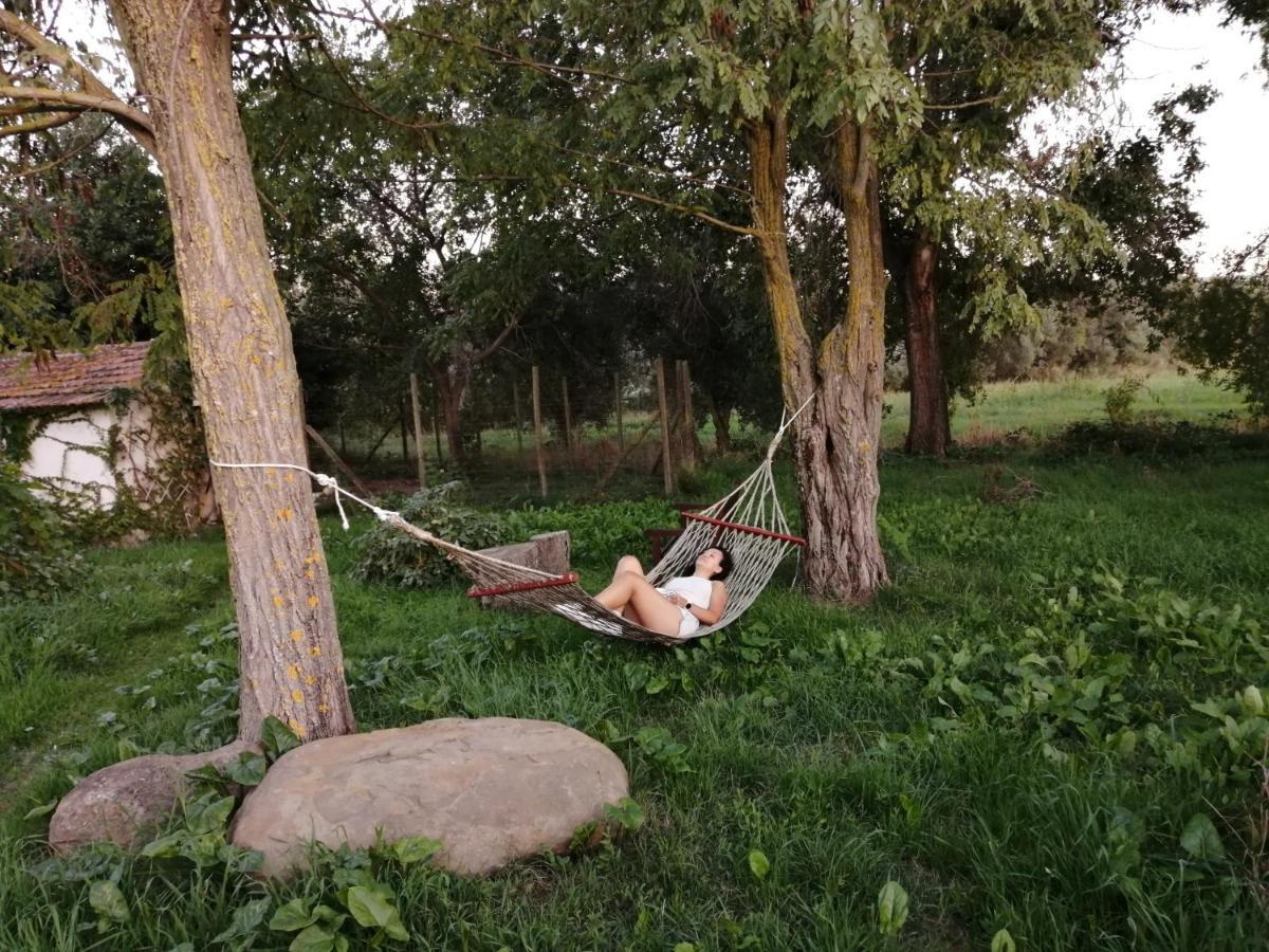 Da Pino Konuk evi Montemerano Dış mekan fotoğraf