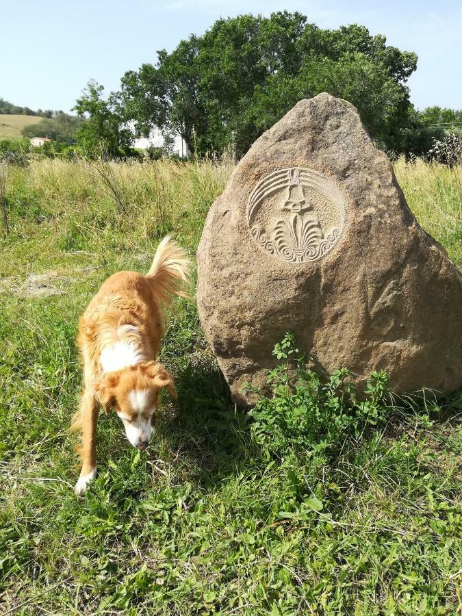 Da Pino Konuk evi Montemerano Dış mekan fotoğraf